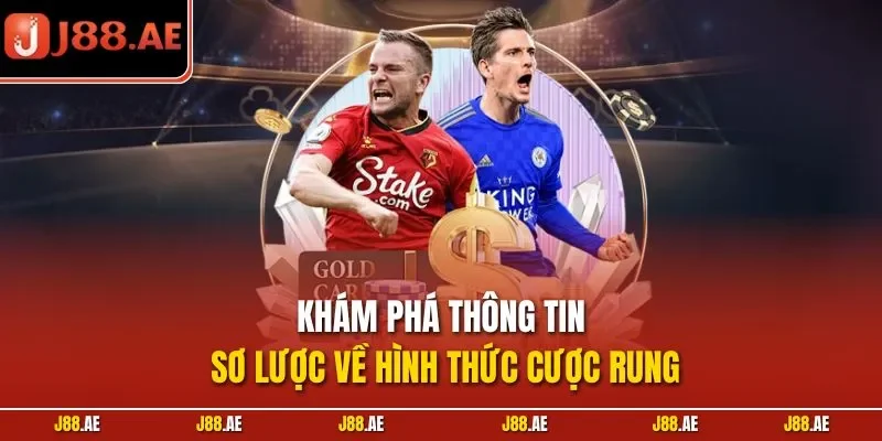 Khám phá thông tin sơ lược về hình thức cược rung